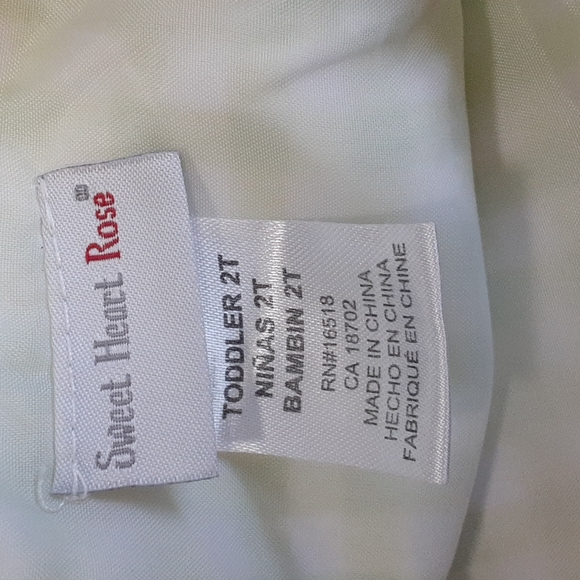 Sweet Heart Rose Toddler Dress - Picture 9 of 10